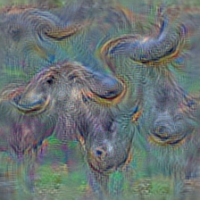 n02408429 water buffalo, water ox, Asiatic buffalo, Bubalus bubalis